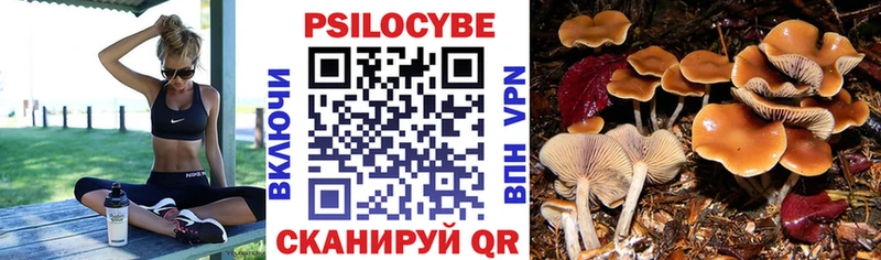 как найти наркотики  Горячеводский  Псилоцибиновые грибы мицелий 