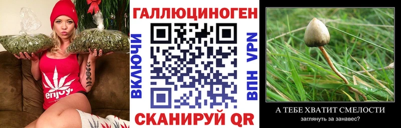 Псилоцибиновые грибы MAGIC MUSHROOMS Горячеводский